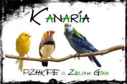 logo_kanaria